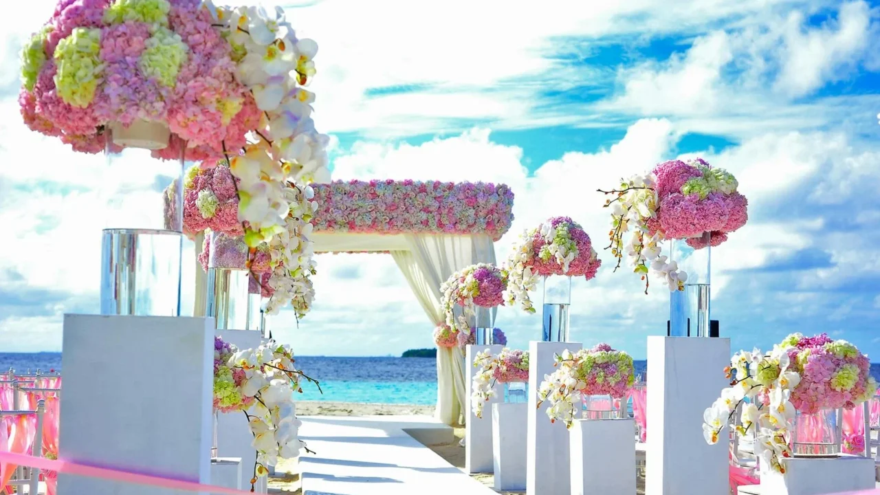 Professional Wedding Service Expert Quality Design